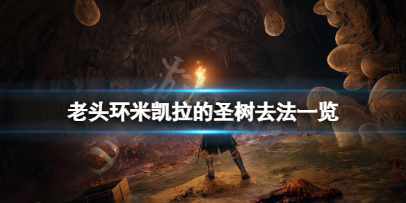 艾尔登法环米凯拉的圣树怎么去（艾尔登法环攻略）