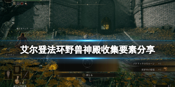 艾尔登法环野兽神殿收集要素分享 魔兽世界探索提瑞斯法林地