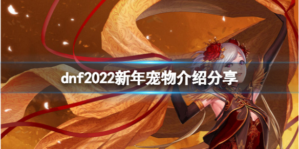 dnf2022新年宠物厉害吗 dnf2021年宠物会比今年好么