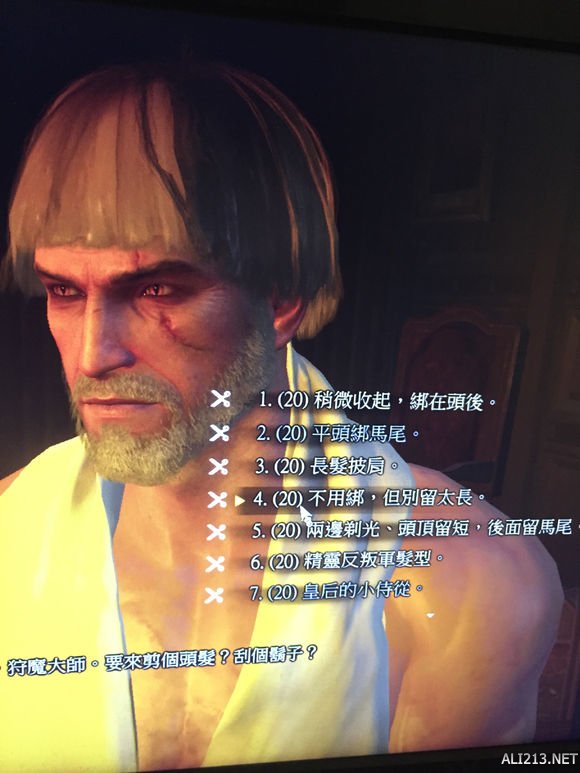 《巫师3：狂猎》白狼帅气发型一览（巫师3白头发）