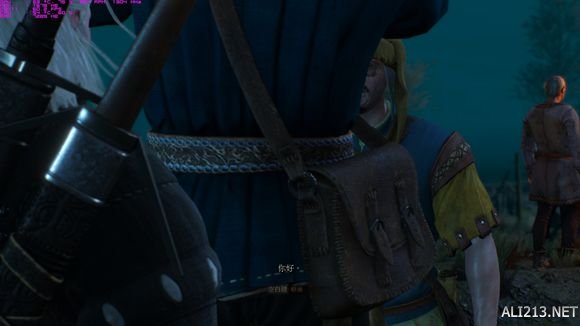 《巫师3：狂猎》商人分身bug一览（《巫师3:狂猎》商人分身bug一览表）