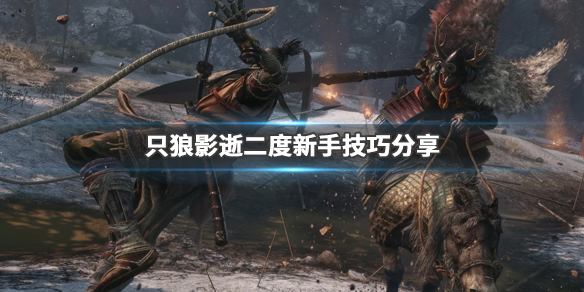 只狼影逝二度新手技巧分享（只狼影逝二度新手教程）