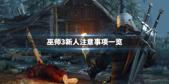 巫师3新人中期攻略推荐（巫师3新人中期攻略推荐职业）