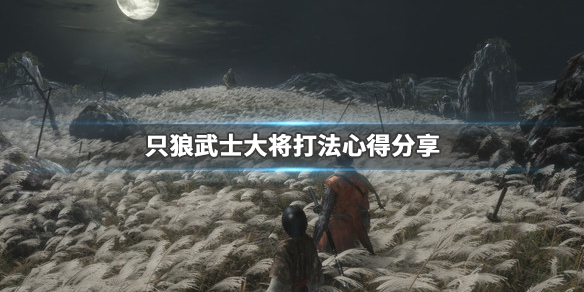 只狼影逝二度武士大将怎么打 只狼怎么过武士大将