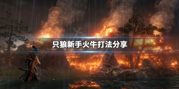 只狼影逝二度新手火牛怎么打（只狼 影逝二度火牛怎么打）