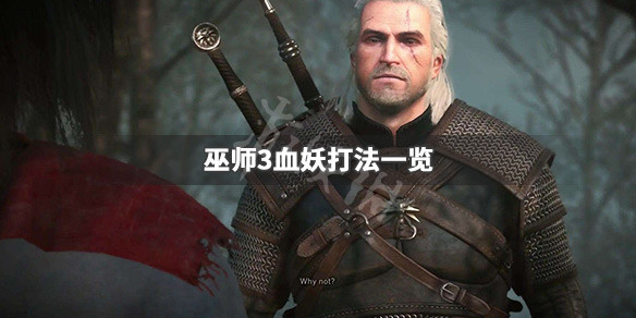 巫师3血妖怎么打 巫师三吸血鬼妖怎么打