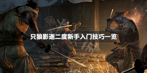 只狼影逝二度新手怎么入门（只狼 影逝二度新手教程怎么过）