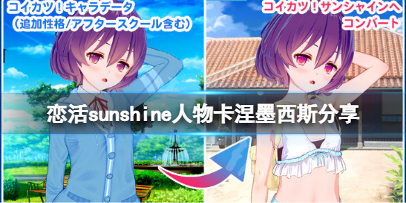 恋活sunshine人物卡涅墨西斯（恋活sunshine剧情）