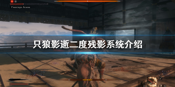 只狼影逝二度残影怎么用（只狼影逝2度攻略）
