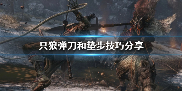 只狼如何成为高手（只狼怎么学）