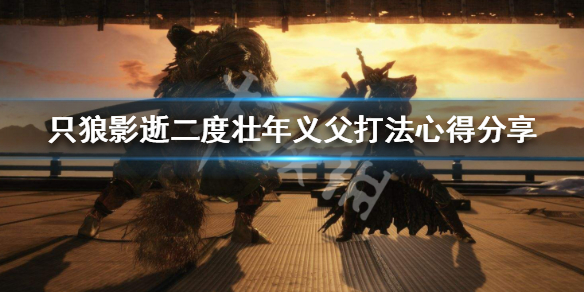 只狼影逝二度壮年义父怎么打（只狼 影逝二度义父怎么打）