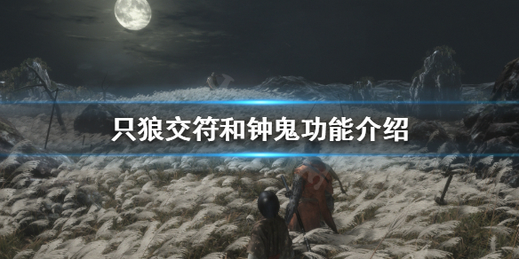 只狼双难是什么 只狼双难是什么意思