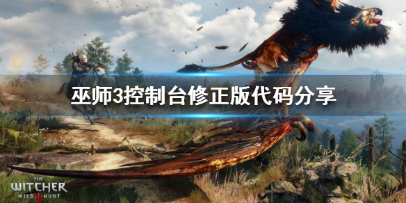 巫师3代码有哪些 巫师3有意思的代码