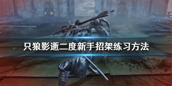 只狼影逝二度新手怎么练招架 只狼影逝二度新手入门攻略