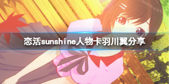 恋活sunshine人物卡羽川翼分享（恋活sunshine贴吧）