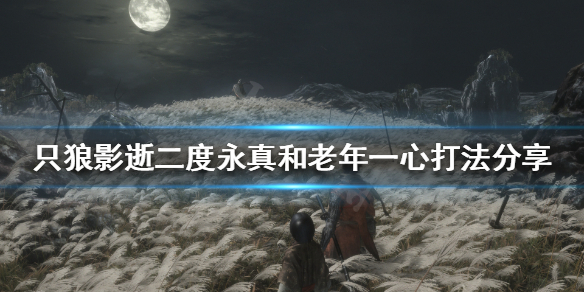 只狼影逝二度永真和老年一心怎么打（只狼 影逝二度永真）