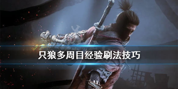 只狼多周目经验怎么刷（只狼二周目怎么刷经验）