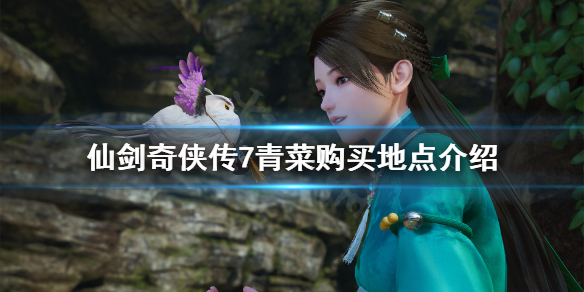 仙剑奇侠传7青菜怎么获得（仙剑奇侠传7拾取）
