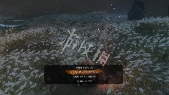 只狼影逝二度图文攻略 全BOSS打法+全剧情流程+全收集 游戏介绍