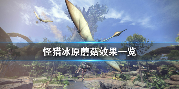 怪物猎人世界冰原蘑菇有什么用（怪物猎人世界冰原蘑菇效果）