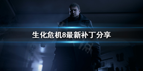 生化危机8PC版无法启动 生化危机八无法启动