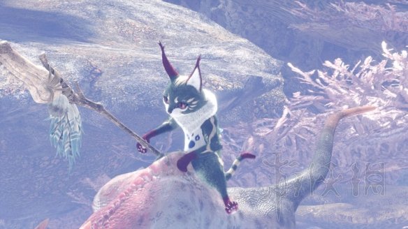 怪物猎人世界冰原拍照任务怎么做 观察任务图鉴+触发方法大全 森林虫笼族:确认或警惕