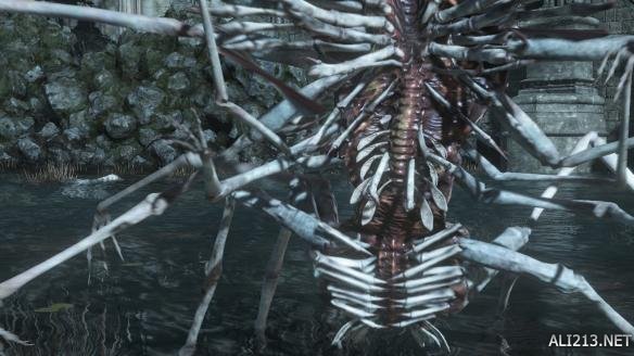 《黑暗之魂3》恶心吓人怪物图文介绍