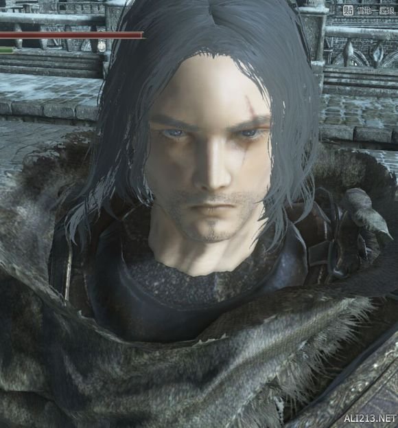 《黑暗之魂3》大盾大剑开荒心得 黑暗之魂3大盾配什么武器