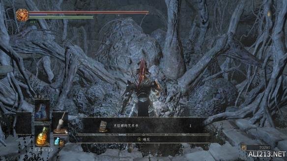 黑暗之魂3本体及DLC全隐藏门位置图文详解 隐藏门位置在哪?