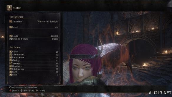 黑暗之魂3120级PVP好用武器推荐及打法攻略 哪些武器好用?