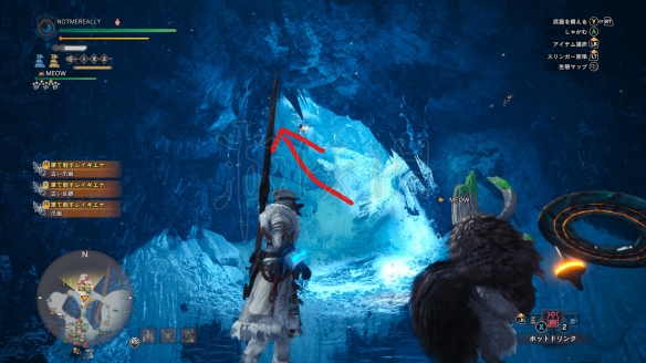 怪物猎人世界冬花芽怎么采集（怪物猎人世界冬花芽在哪）