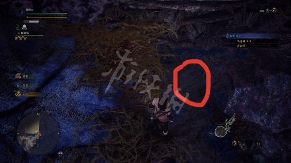 怪物猎人世界冰原小动物怎么抓 怪物猎人世界冰原能抓的野生动物