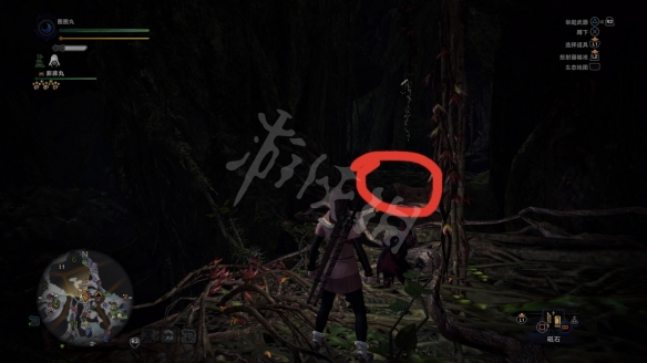 怪物猎人世界冰原小动物怎么抓 小动物捕捉点与时间说明