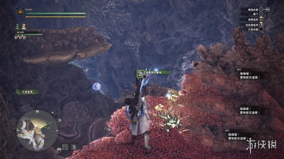 怪物猎人世界冰原路珊瑚台地全宝箱位置介绍 路珊瑚台地宝箱_网