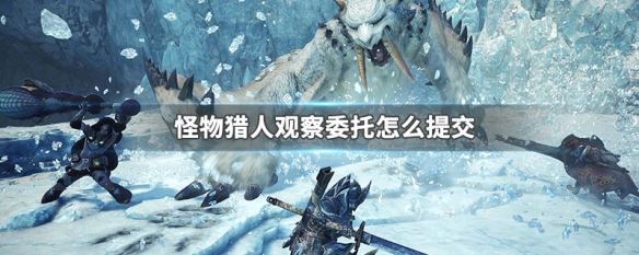 怪物猎人观察委托怎么提交（怪物猎人观察任务怎么做）