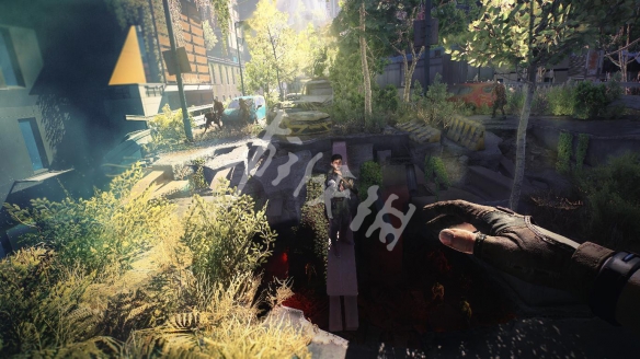 消逝的光芒2启动崩溃怎么办 消逝的光芒2进游戏崩溃解决方法