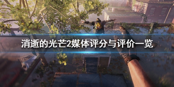 消逝的光芒2评分高吗（消逝的光芒2 评分）