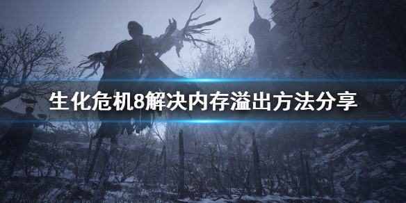 生化危机8该内存不能为written怎么办（生化危机8该内存不能为read）