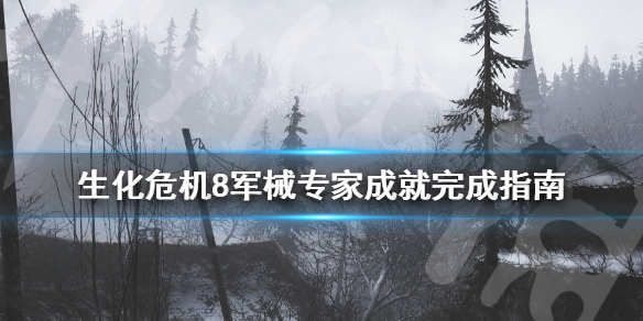 生化危机8军械专家成就怎么做 生化危机8 军械专家