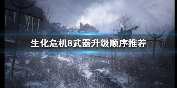 生化危机8武器该怎么升级（生化危机8武器等级）