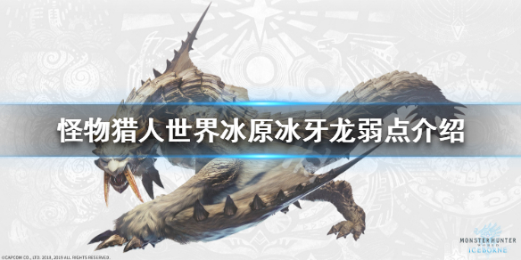 怪物猎人世界冰原冰牙龙弱什么属性 怪物猎人世界冰牙龙攻击什么属性