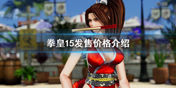 拳皇15售价多少（拳皇15预售）