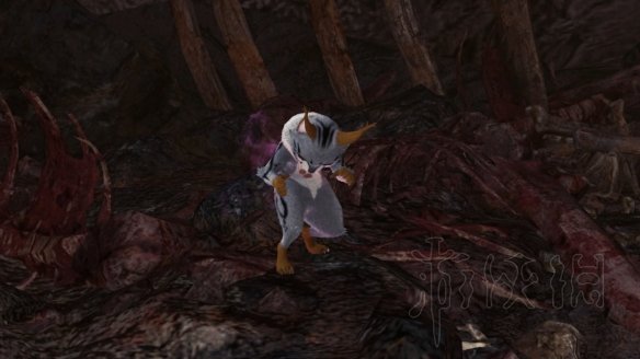 怪物猎人世界冰原拍照任务怎么做 观察任务图鉴+触发方法大全 森林虫笼族:确认或警惕