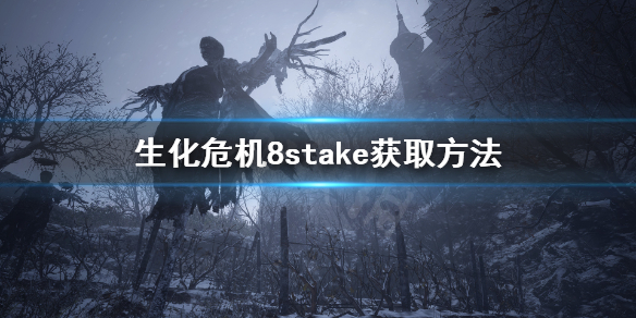 生化危机8stake怎么获得（生化危机8stake需要多少cp）