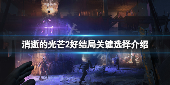 消逝的光芒2结局好的这么打（消逝的光芒2深度解析剧情）