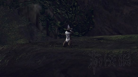 怪物猎人世界冰原拍照任务怎么做 观察任务图鉴+触发方法大全 森林虫笼族:确认或警惕