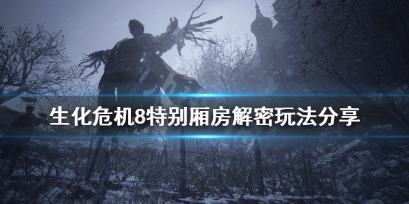 生化危机8特别厢房火堆怎么点（生化危机8特别厢房火盆视频）