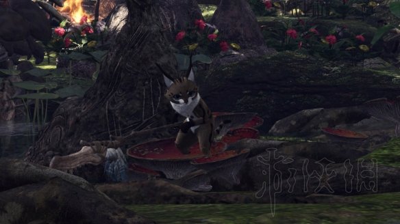 怪物猎人世界冰原拍照任务怎么做 观察任务图鉴+触发方法大全 森林虫笼族:确认或警惕