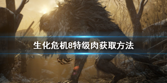 生化危机8特级肉怎么找（生化危机8 特级鱼肉）