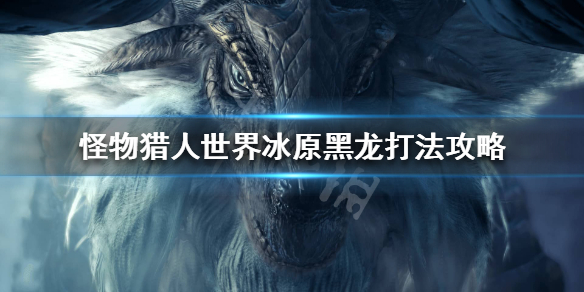 怪猎黑龙怎么打 怪物猎人 黑龙 怎么打